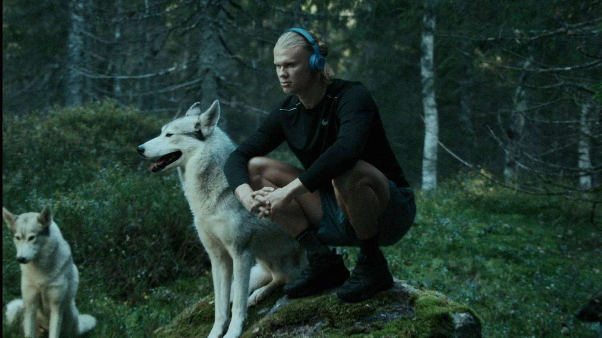 越早确定 越早确定